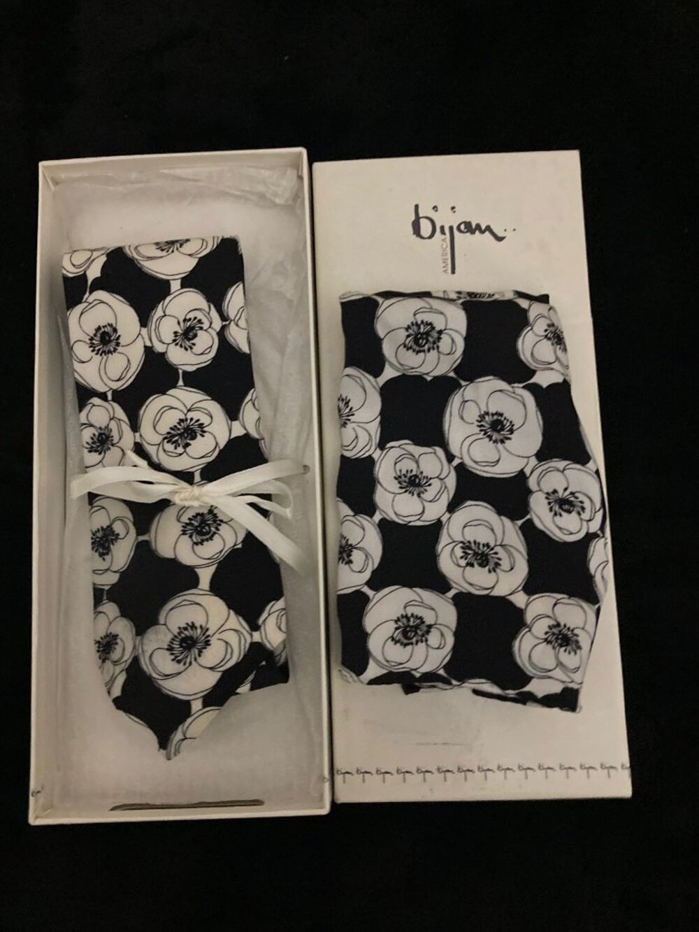 Vintage Bijan Tie and Pocket square